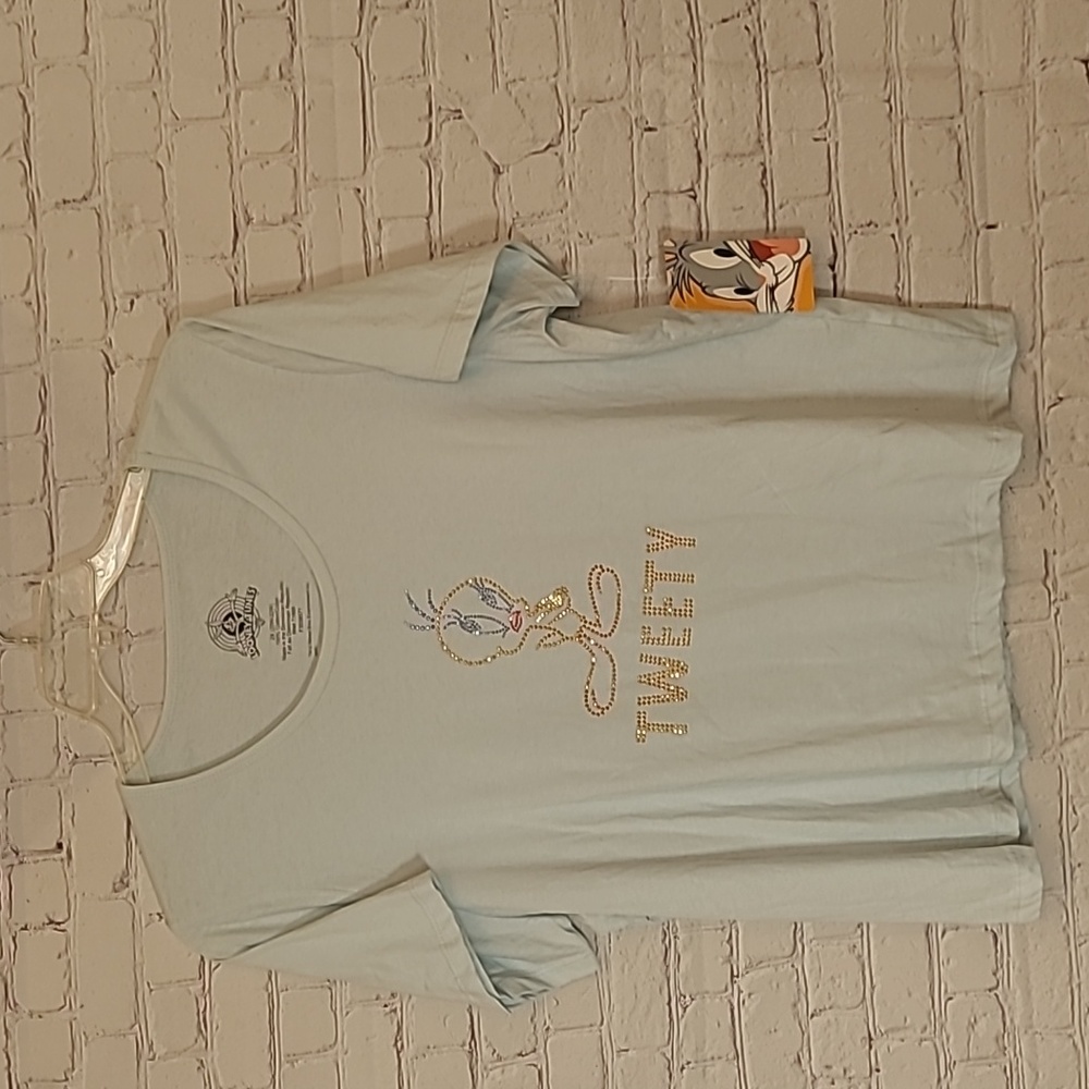 NEW Size 2X Light Blue Short Sleeve Tweety Bird Beaded Cotton T Shirt